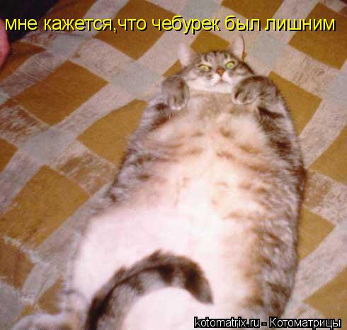 мне кажется,что чебурек был лишним... Котоматрица: мне кажется,что чебурек был лишним