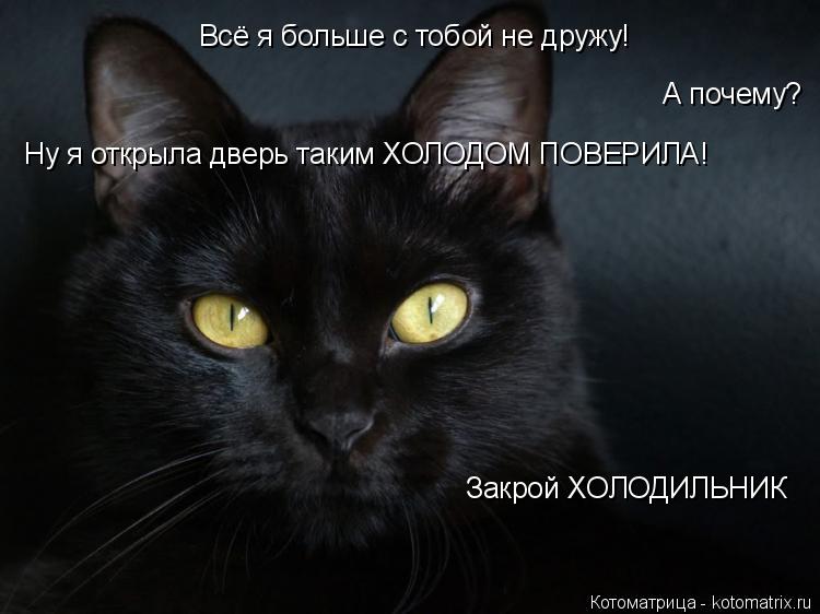 Всё я больше с тобой не дружу! А почему? Ну я открыла дверь таким ХОЛОДОМ ПОВЕРИЛА! Закрой ХОЛОДИЛЬН... Котоматрица: Всё я больше с тобой не дружу! А почему? Ну я открыла дверь таким ХОЛОДОМ ПОВЕРИЛА! Закрой ХОЛОДИЛЬНИК