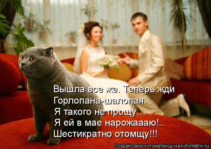 Котоматрица: Вышла все же. Теперь жди Горлопана-шалопая.  Я такого не прощу…  Я ей в мае нарожаааю!.. Шестикратно отомщу!!!