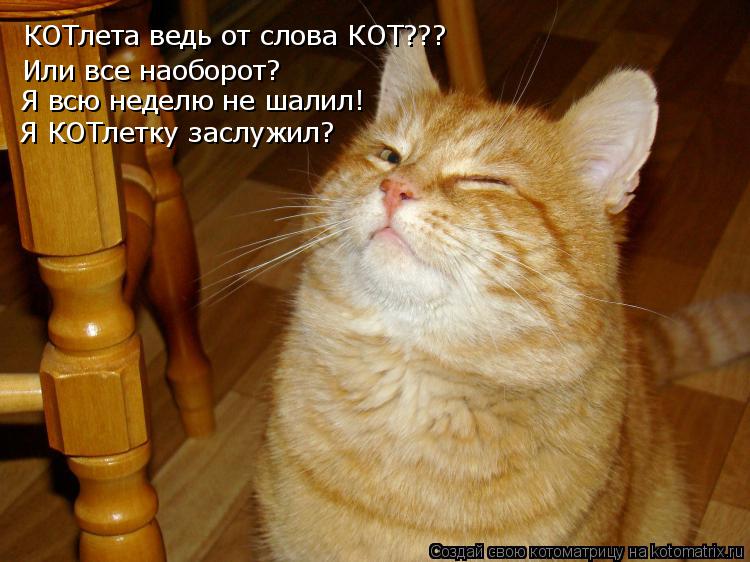 КОТлета ведь от слова КОТ??? Или все наоборот? Я всю неделю не шалил! Я КОТлетку заслужил?... Котоматрица: КОТлета ведь от слова КОТ??? Или все наоборот? Я всю неделю не шалил! Я КОТлетку заслужил?