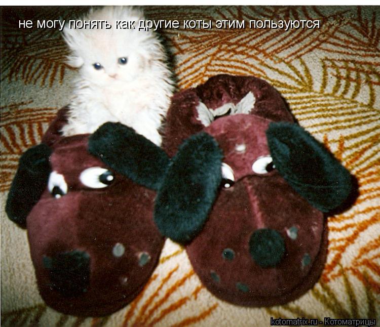 не могу понять как другие коты этим пользуются... Котоматрица: не могу понять как другие коты этим пользуются