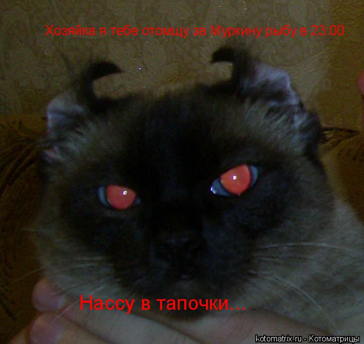 Хозяйка я тебе отомщу за Муркину рыбу в 23:00 Нассу в тапочки...... Котоматрица: Хозяйка я тебе отомщу за Муркину рыбу в 23:00 Нассу в тапочки...