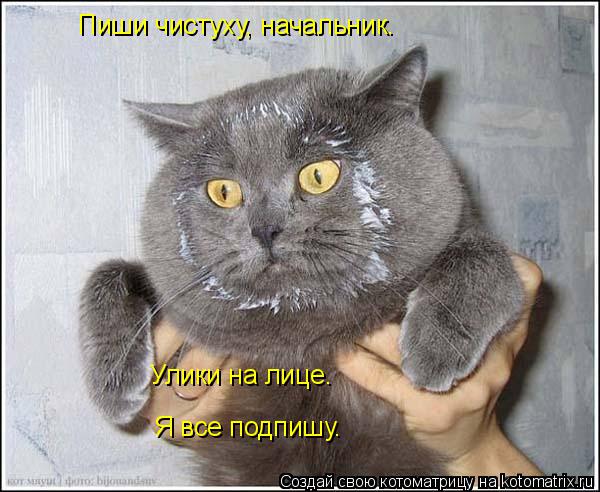 Улики на лице. Я все подпишу. Пиши чистуху, начальник.... Котоматрица: Улики на лице. Я все подпишу. Пиши чистуху, начальник.