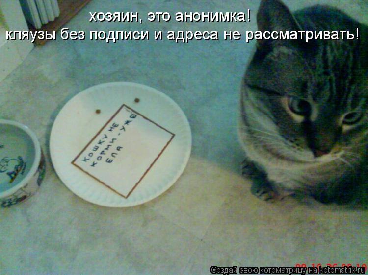 Котоматрица: хозяин, это анонимка! кляузы без подписи и адреса не рассматривать!