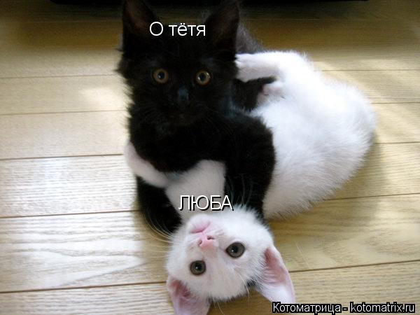 О тётя ЛЮБА... Котоматрица: О тётя ЛЮБА
