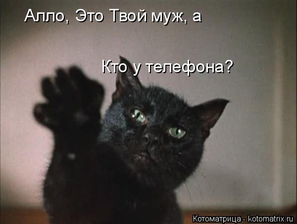 Алло, Это Твой муж, а Кто у телефона?... Котоматрица: Алло, Это Твой муж, а Кто у телефона?