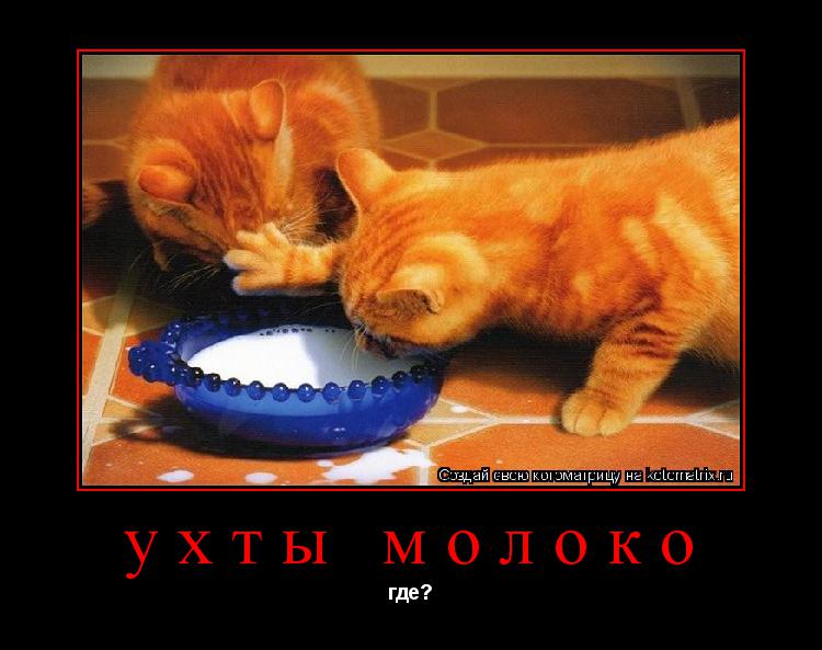 ухты молоко где?... Котоматрица: ухты молоко где?