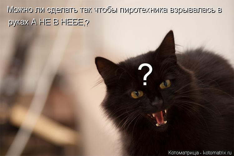 Котоматрица: Можно ли сделать так чтобы пиротехника взрывалась в руках А НЕ В НЕБЕ, ? ?