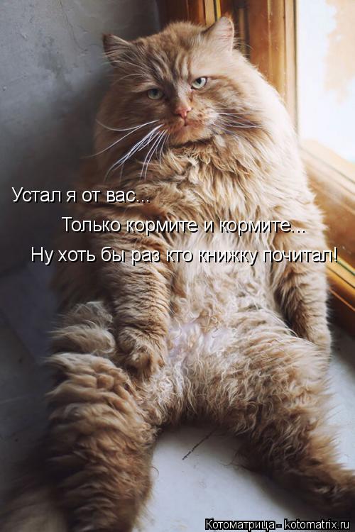 Котоматрица: Устал я от вас... Только кормите и кормите... Ну хоть бы раз кто книжку почитал!