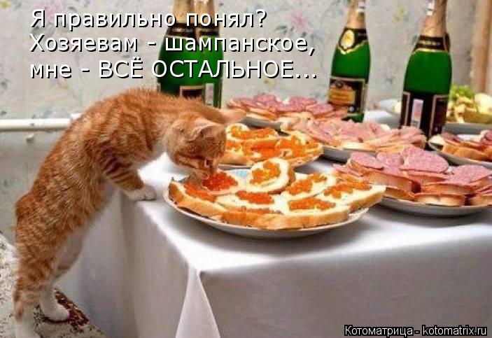 Я правильно понял? Хозяевам - шампанское, мне - ВСЁ ОСТАЛЬНОЕ...... Котоматрица: Я правильно понял? Хозяевам - шампанское, мне - ВСЁ ОСТАЛЬНОЕ...