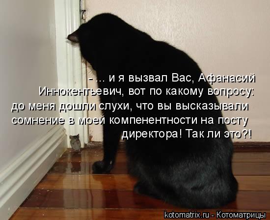Котоматрица: - ... и я вызвал Вас, Афанасий  Иннокентьевич, вот по какому вопросу:  до меня дошли слухи, что вы высказывали директора! Так ли это?! сомнение в 