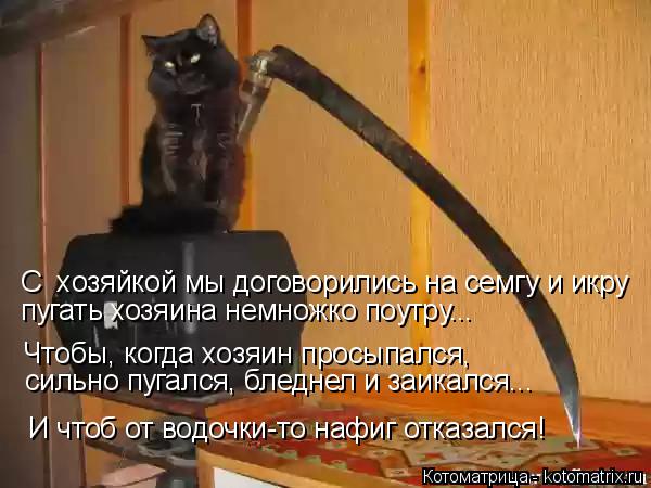 Котоматрица: С  хозяйкой мы договорились на семгу и икру  пугать хозяина немножко поутру... Чтобы, когда хозяин просыпался, сильно пугался, бледнел и заик