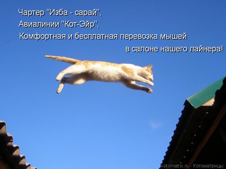 Чартер "Изба - сарай", Авиалинии "Кот-Эйр", Комфортная и бесплатная перевозка мышей в салоне нашего л... Котоматрица: Чартер "Изба - сарай", Авиалинии "Кот-Эйр", Комфортная и бесплатная перевозка мышей в салоне нашего лайнера!