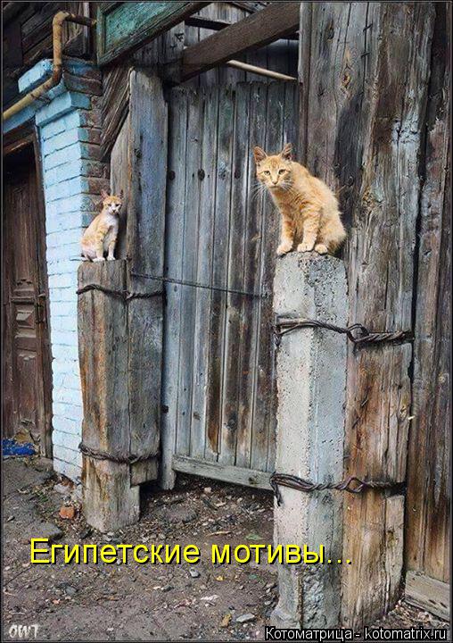 Египетские мотивы...... Котоматрица: Египетские мотивы...