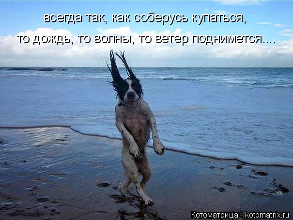 Котоматрица: всегда так, как соберусь купаться, то дождь, то волны, то ветер поднимется....
