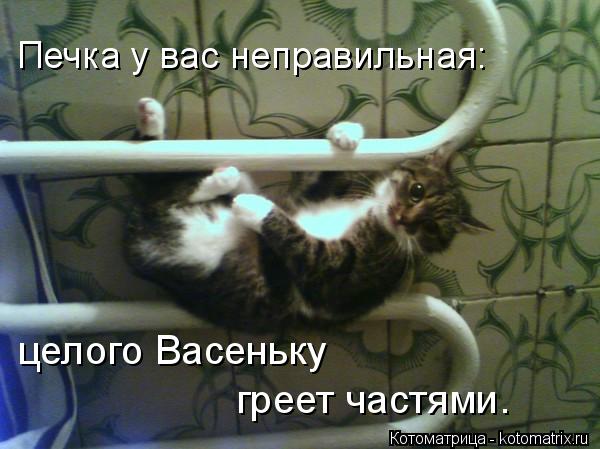 Печка у вас неправильная: целого Васеньку греет частями.... Котоматрица: Печка у вас неправильная: целого Васеньку греет частями.