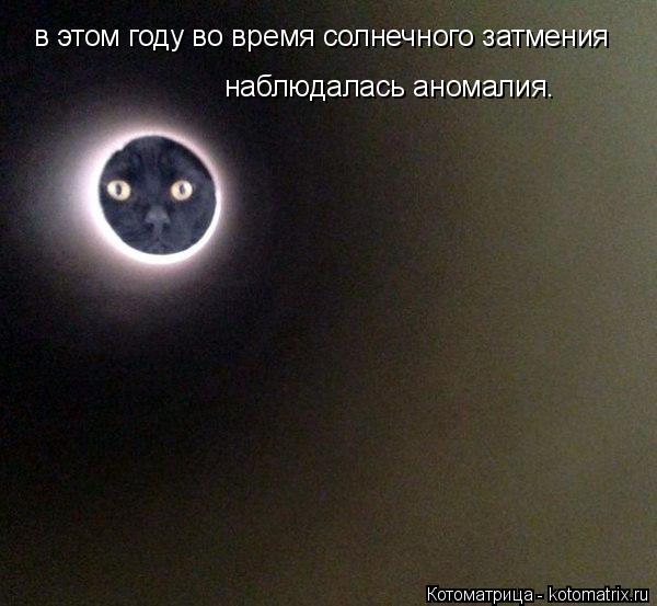 Котоматрица: в этом году во время солнечного затмения наблюдалась аномалия.