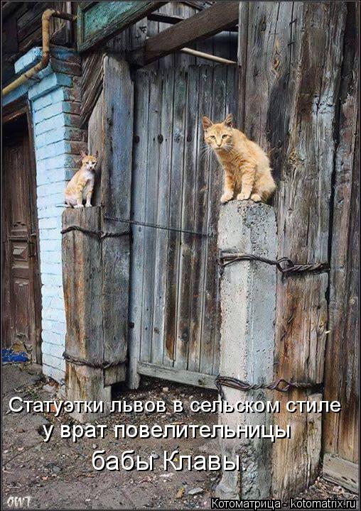 Котоматрица: Статуэтки львов в сельском стиле у врат повелительницы бабы Клавы.