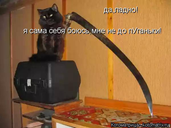 Котоматрица: да,ладно!  я сама себя боюсь,мне не до пУганьки!