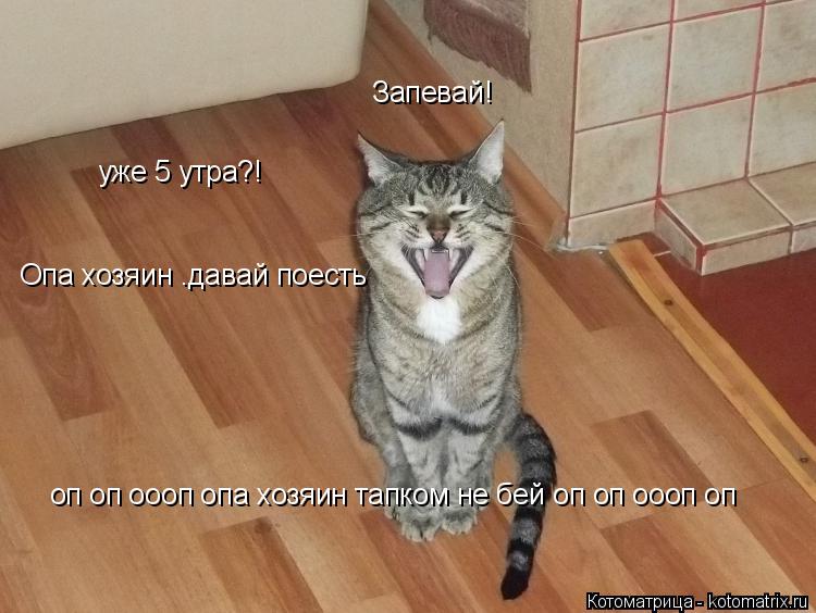 уже 5 утра?! Запевай! Опа хозяин .давай поесть оп оп оооп опа хозяин тапком не бей оп оп оооп оп... Котоматрица: уже 5 утра?! Запевай! Опа хозяин .давай поесть оп оп оооп опа хозяин тапком не бей оп оп оооп оп