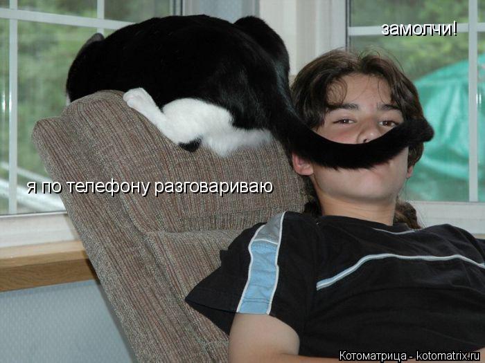 замолчи! я по телефону разговариваю... Котоматрица: замолчи! я по телефону разговариваю