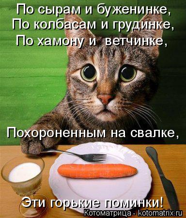 По сырам и буженинке, По колбасам и грудинке, По хамону и ветчинке, Похороненным на свалке, Эти горь... Котоматрица: По сырам и буженинке, По колбасам и грудинке, По хамону и ветчинке, Похороненным на свалке, Эти горькие поминки!