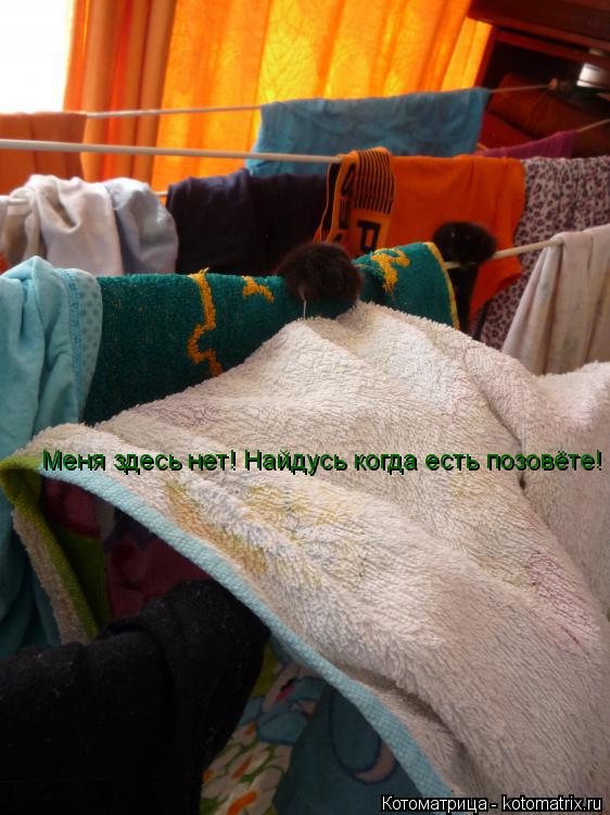 Меня здесь нет! Найдусь когда есть позовёте!... Котоматрица: Меня здесь нет! Найдусь когда есть позовёте!