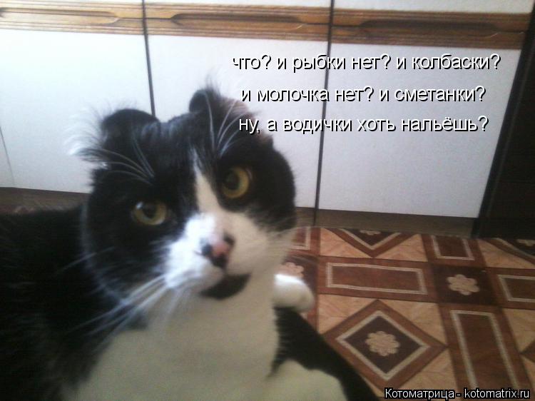 что? и рыбки нет? и колбаски? и молочка нет? и сметанки? ну, а водички хоть нальёшь?... Котоматрица: что? и рыбки нет? и колбаски? и молочка нет? и сметанки? ну, а водички хоть нальёшь?