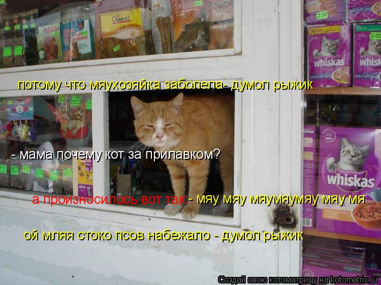 Котоматрица: - мама почему кот за прилавком? потому что мяухозяйка заболела- думол рыжик а произносилось вот так: - мяу мяу мяумяумяу мяу мя ой мляя стоко 