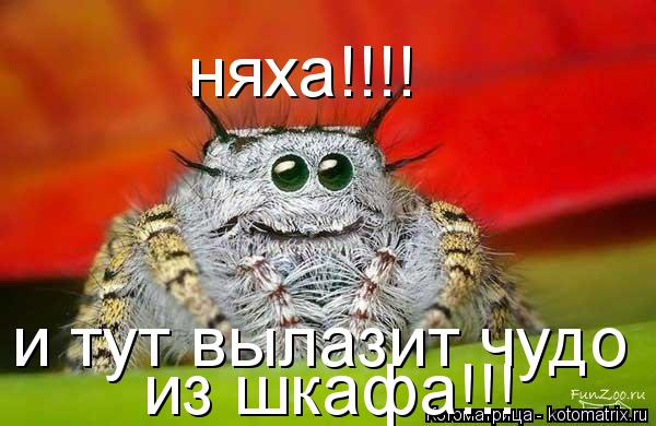 Котоматрица: и тут вылазит чудо  из шкафа!!! няха!!!!