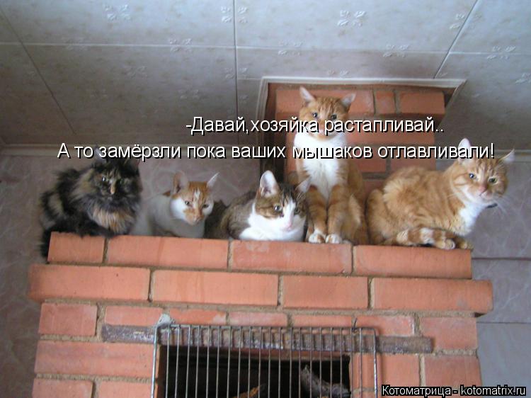-Давай,хозяйка растапливай.. А то замёрзли пока ваших мышаков отлавливали!... Котоматрица: -Давай,хозяйка растапливай.. А то замёрзли пока ваших мышаков отлавливали!
