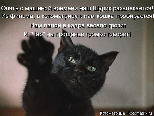 Котоматрица: Из фильма, в котоматрицу к нам кошка пробирается! Нам лапой в кадре весело грозит. И "Чао" на прощанье громко говорит! Опять с машиной времени