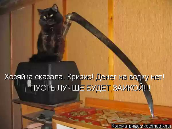 Котоматрица: Хозяйка сказала: Кризис! Денег на водку нет! ПУСТЬ ЛУЧШЕ БУДЕТ ЗАИКОЙ!!!