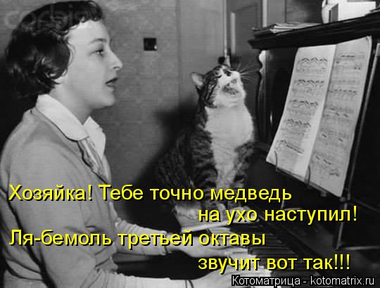 Хозяйка! Тебе точно медведь на ухо наступил! Ля-бемоль третьей октавы звучит вот так!!!... Котоматрица: Хозяйка! Тебе точно медведь на ухо наступил! Ля-бемоль третьей октавы звучит вот так!!!