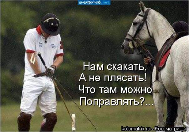 Нам скакать, А не плясать! Что там можно Поправлять?...... Котоматрица: Нам скакать, А не плясать! Что там можно Поправлять?...