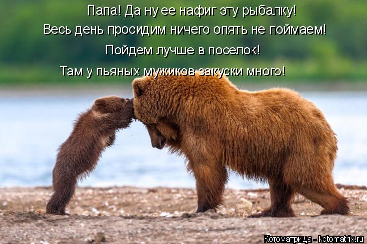 Котоматрица: Папа! Да ну ее нафиг эту рыбалку! Весь день просидим ничего опять не поймаем! Пойдем лучше в поселок! Там у пьяных мужиков закуски много!