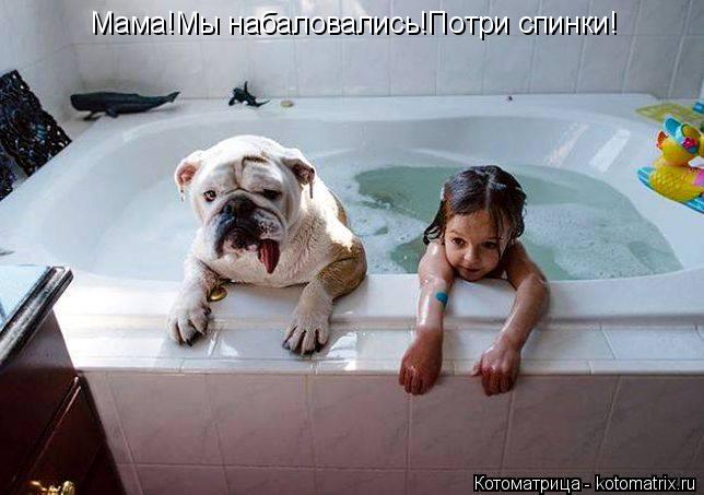 Мама!Мы набаловались!Потри спинки!... Котоматрица: Мама!Мы набаловались!Потри спинки!