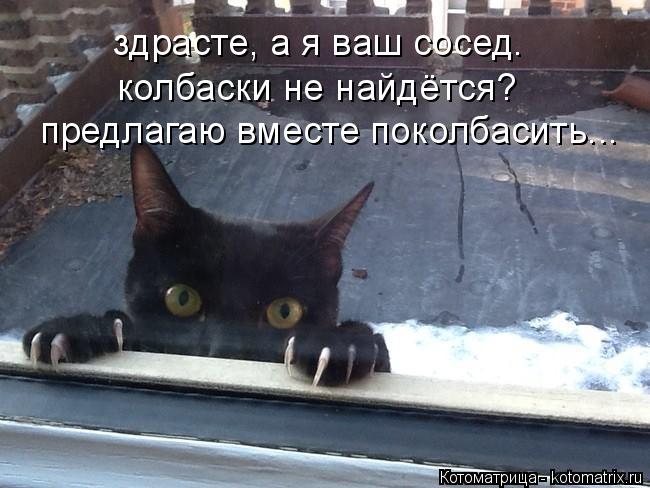 здрасте, а я ваш сосед. колбаски не найдётся? предлагаю вместе поколбасить...... Котоматрица: здрасте, а я ваш сосед. колбаски не найдётся? предлагаю вместе поколбасить...