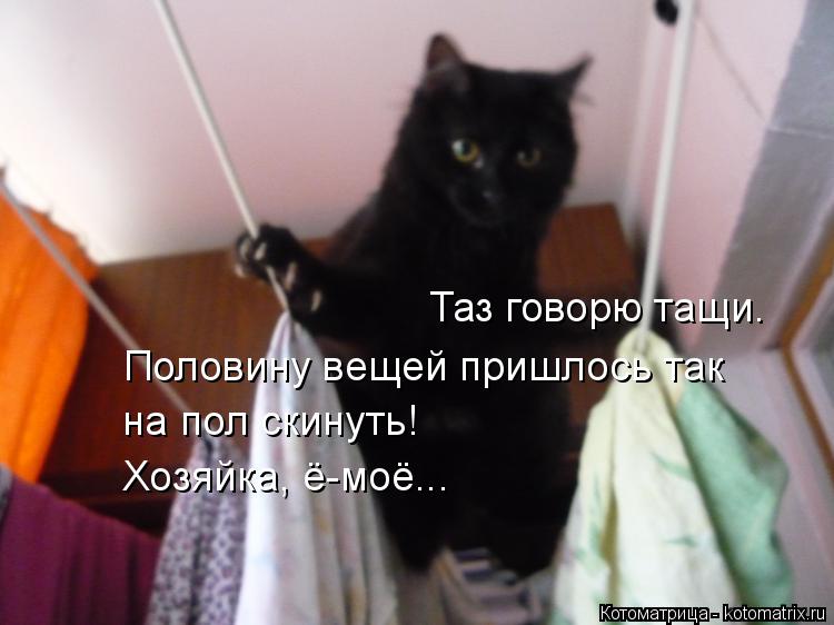 Таз говорю тащи. Половину вещей пришлось так на пол скинуть! Хозяйка, ё-моё...... Котоматрица: Таз говорю тащи. Половину вещей пришлось так на пол скинуть! Хозяйка, ё-моё...