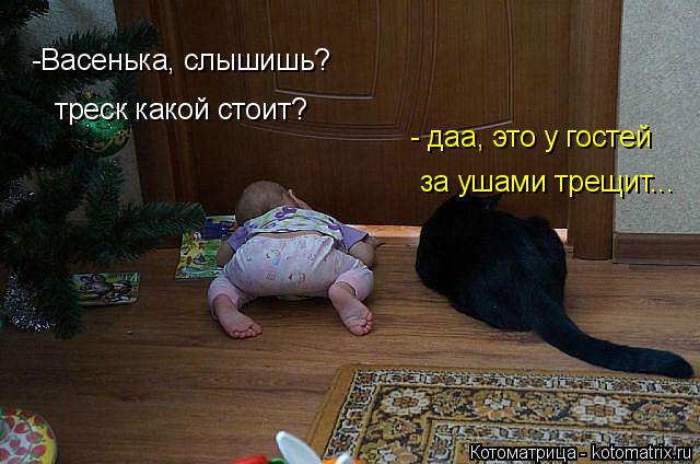 -Васенька, слышишь? треск какой стоит? - даа, это у гостей за ушами трещит...... Котоматрица: -Васенька, слышишь? треск какой стоит? - даа, это у гостей за ушами трещит...