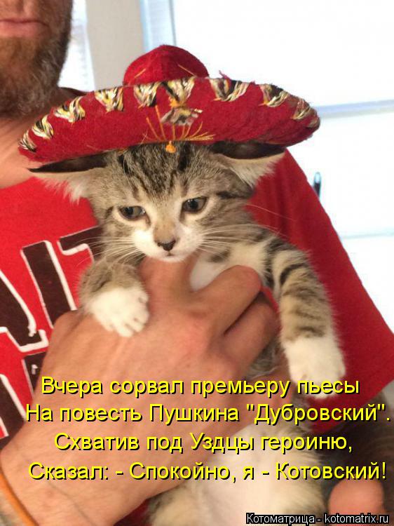Вчера сорвал премьеру пьесы На повесть Пушкина "Дубровский". Схватив под Уздцы героиню, Сказал: - Спо... Котоматрица: Вчера сорвал премьеру пьесы На повесть Пушкина "Дубровский". Схватив под Уздцы героиню, Сказал: - Спокойно, я - Котовский!