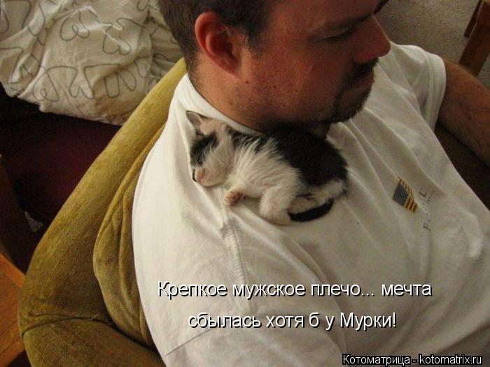 Крепкое мужское плечо... мечта сбылась хотя б у Мурки!... Котоматрица: Крепкое мужское плечо... мечта сбылась хотя б у Мурки!