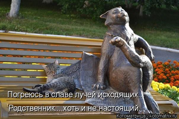 Погреюсь в славе лучей исходящих... Родственник....хоть и не настоящий.... Котоматрица: Погреюсь в славе лучей исходящих... Родственник....хоть и не настоящий.