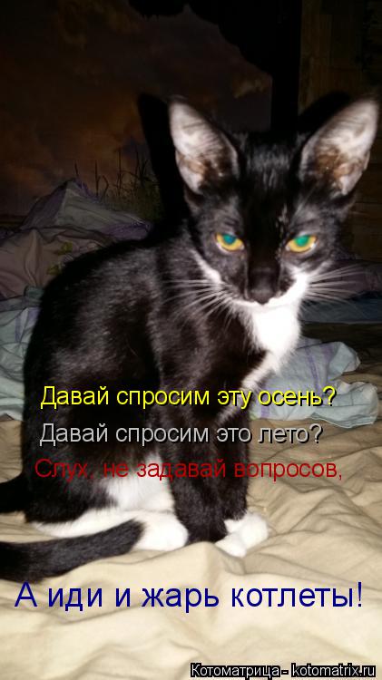 Давай спросим эту осень? Давай спросим это лето? Слух, не задавай вопросов, А иди и жарь котлеты!... Котоматрица: Давай спросим эту осень? Давай спросим это лето? Слух, не задавай вопросов, А иди и жарь котлеты!