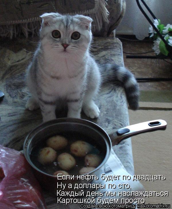 Картошкой будем просто Каждый день мы наслаждаться Ну а доллары по сто, Если нефть будет по двадцать... Котоматрица: Картошкой будем просто Каждый день мы наслаждаться Ну а доллары по сто, Если нефть будет по двадцать