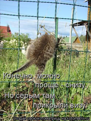 Конечно, можно проще - снизу. Но серым там прикрыли визу.... Котоматрица: Конечно, можно проще - снизу. Но серым там прикрыли визу.