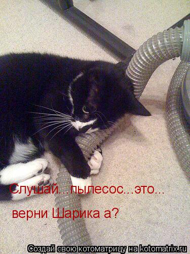 Слушай...пылесос...это... верни Шарика а?... Котоматрица: Слушай...пылесос...это... верни Шарика а?