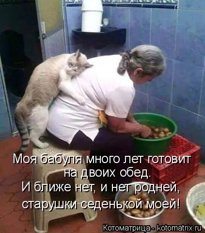 Моя бабуля много лет готовит на двоих обед. И ближе нет, и нет родней, старушки седенькой моей!... Котоматрица: Моя бабуля много лет готовит на двоих обед. И ближе нет, и нет родней, старушки седенькой моей!
