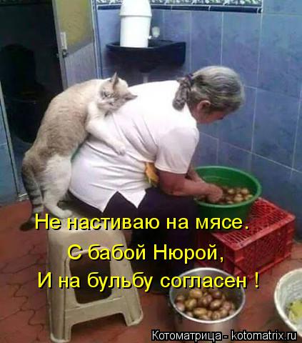Не настиваю на мясе. С бабой Нюрой, И на бульбу согласен !... Котоматрица: Не настиваю на мясе. С бабой Нюрой, И на бульбу согласен !