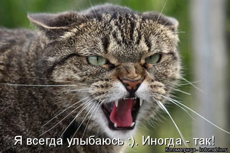 Я всегда улыбаюсь :). Иногда - так!... Котоматрица: Я всегда улыбаюсь :). Иногда - так!